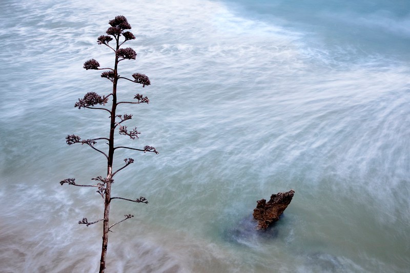 Un mare di seta