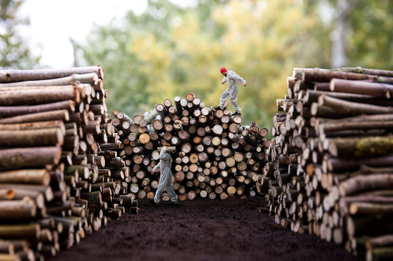 Wood Mountains (racconta la tua foto - Madison)