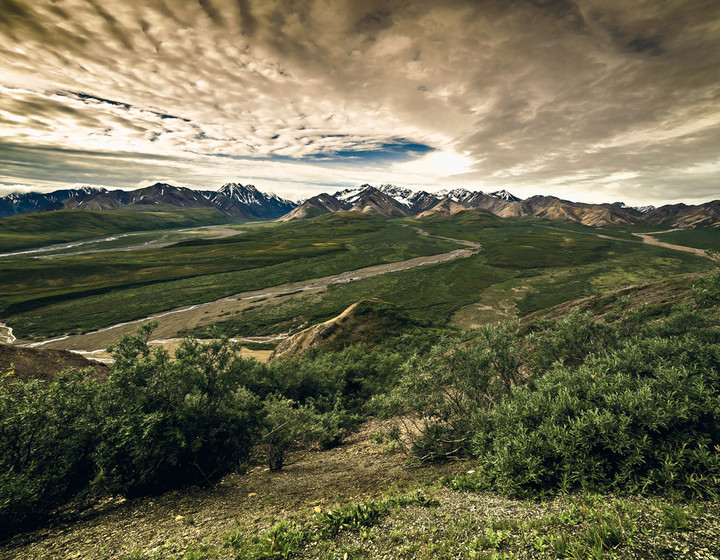 Immensi Landscape 